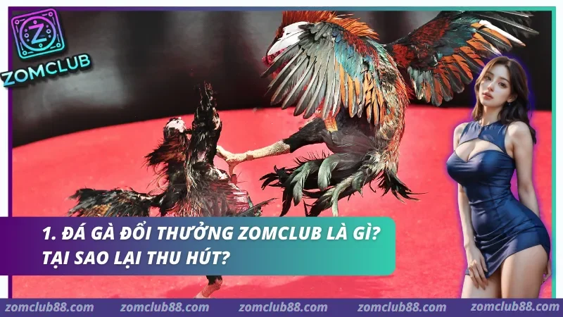 Đá gà đổi thưởng Zomclub – Sân chơi mang lại những cảm xúc kịch tính và trải nghiệm chân thực.