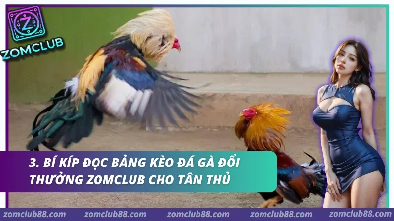 Giao diện đặt cược Đá gà đổi thưởng Zomclub được thiết kế trực quan, dễ dàng thao tác.
