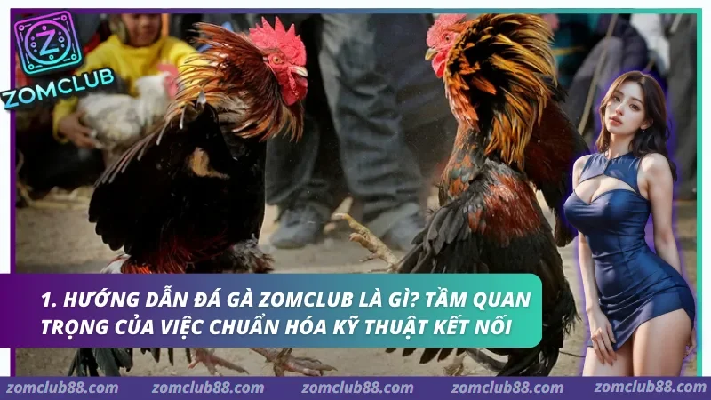 Tài liệu hướng dẫn đá gà Zomclub tập trung vào việc chuẩn hóa chất lượng truyền tải hình ảnh và bảo mật dữ liệu định danh.