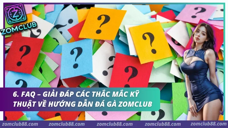 Giải đáp các thắc mắc kỹ thuật về hướng dẫn đá gà Zomclub