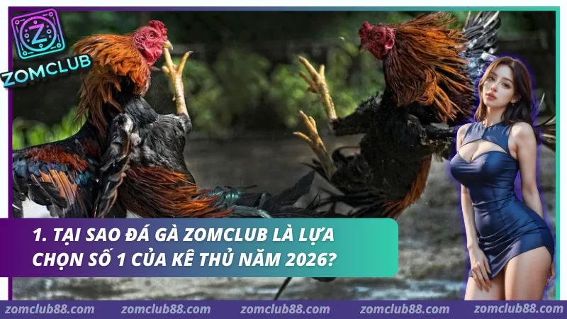 Đá Gà Zomclub là lựa chọn số 1 của kê thủ năm 2026