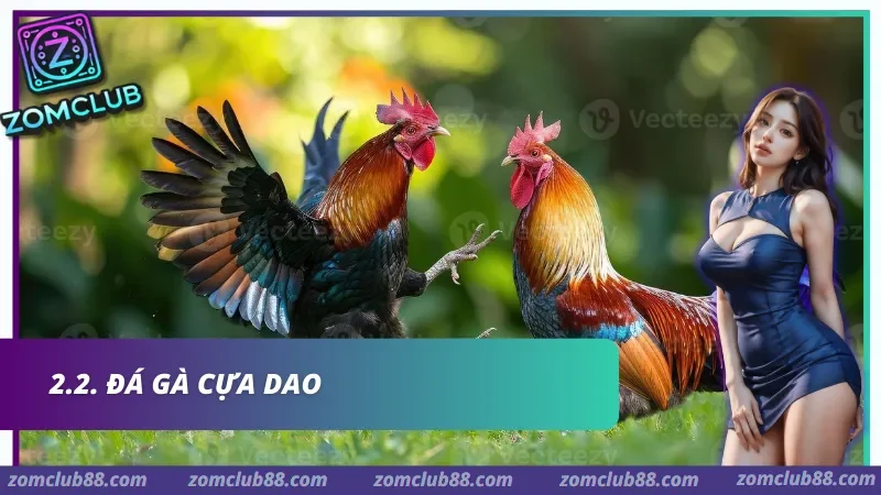 Đá Gà Cựa Dao đẳng cấp
