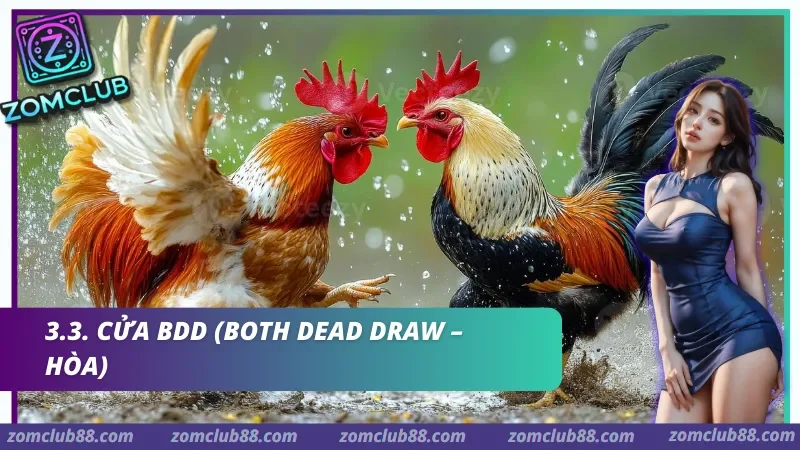 Bảng cược hiển thị rõ ràng tỷ lệ Odds thay đổi theo thời gian thực (Real-time) giúp hội viên dễ dàng ra quyết định.