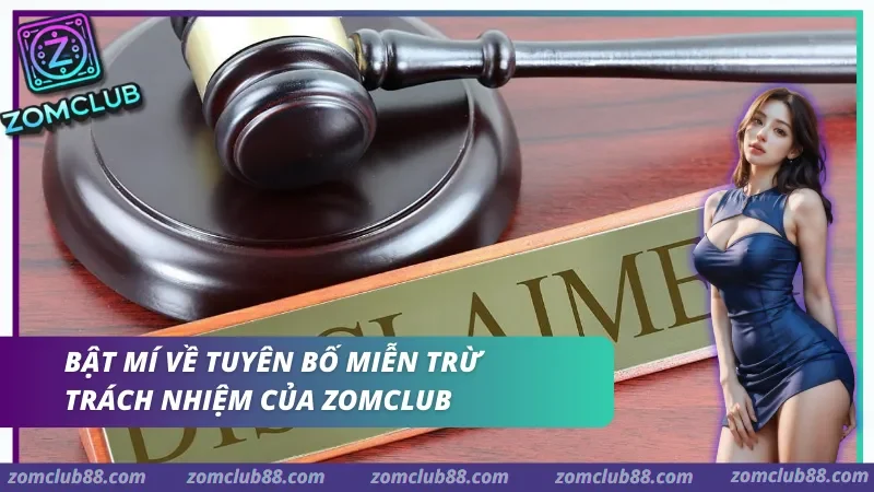 Quy định trong chính sách miễn trách nhiệm của trang web